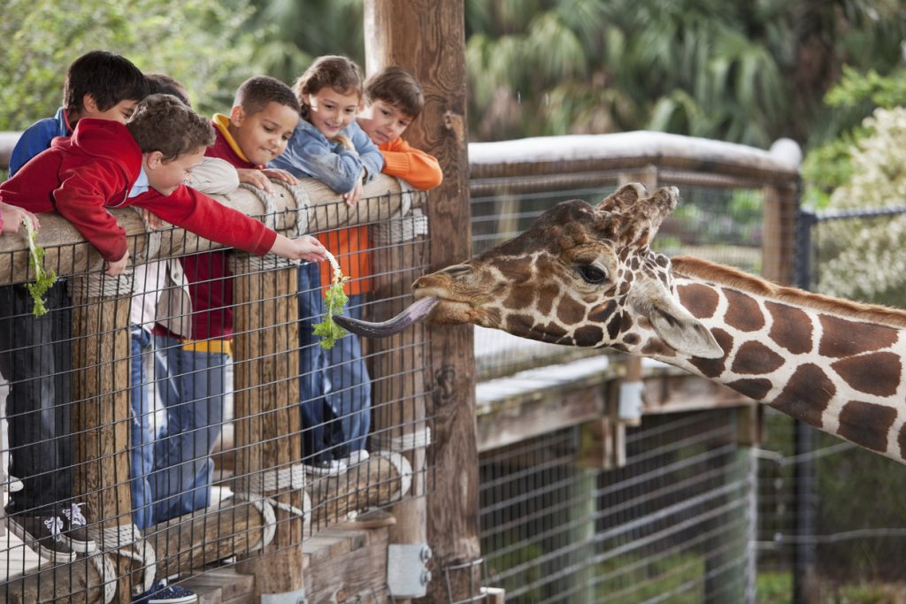 Zoo