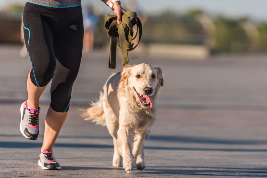 Birmingham Bully Rescue 5K