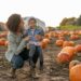 A Guide To Birmingham Pumpkin Patches